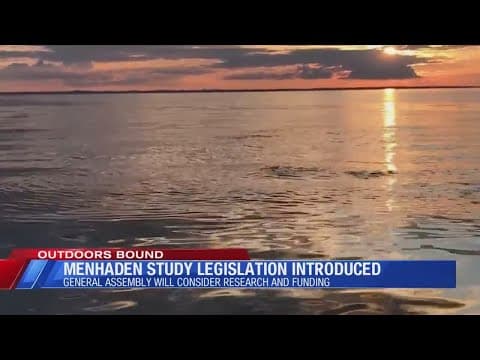 2025 Menhaden Legislation
